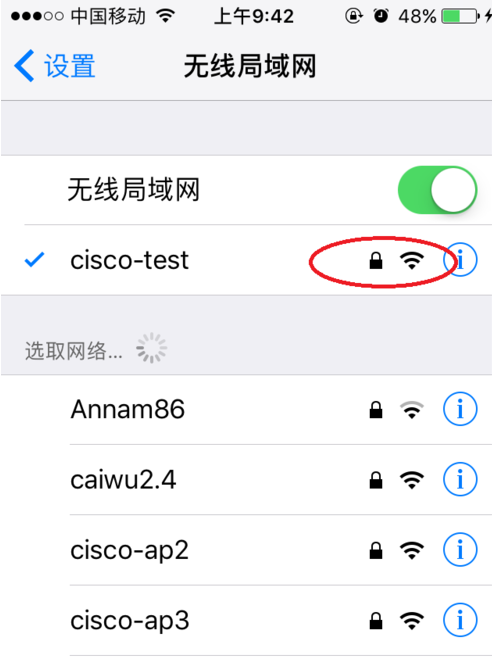 为什么苹果手机是wifi版为什么苹果手机连上wifi却上不了网-第2张图片-太平洋在线下载