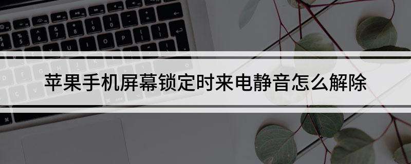 苹果手机有的来电静音吗苹果6来电没有声音怎么回事-第1张图片-太平洋在线下载