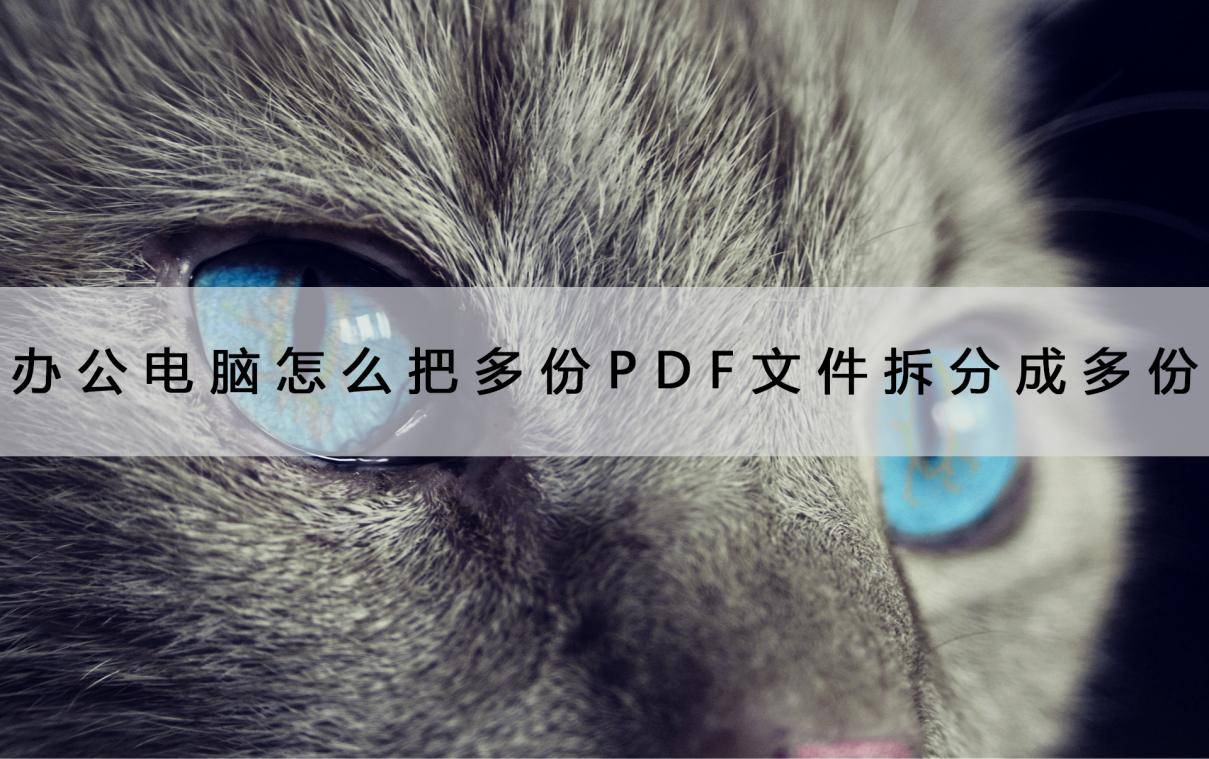 怎么把游戏玩成电脑版苹果:办公电脑怎么把多页PDF文件拆分成多份？学学这个技巧