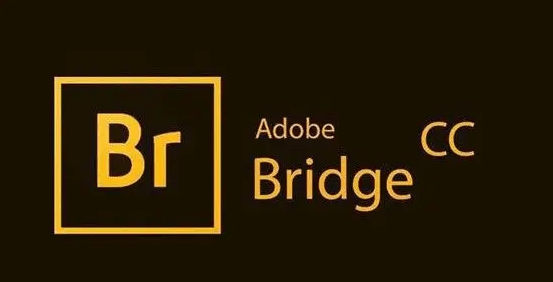 免费的录屏软件苹果版下载:br软件-Bridge中文版免费下载 Adobe Bridge2022中文破解正版下载-第1张图片-太平洋在线下载