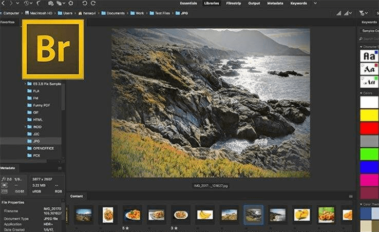 免费的录屏软件苹果版下载:br软件-Bridge中文版免费下载 Adobe Bridge2022中文破解正版下载-第2张图片-太平洋在线下载