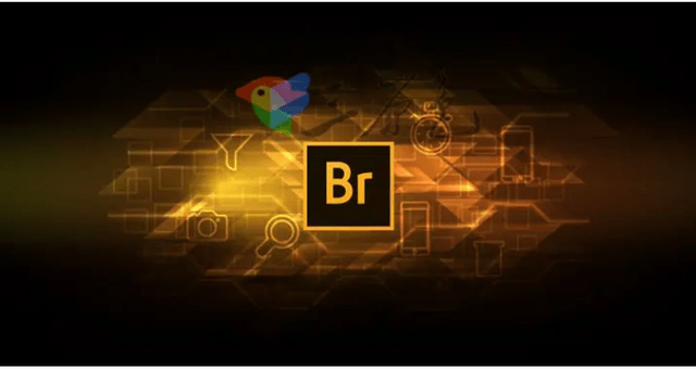 免费的录屏软件苹果版下载:br软件-Bridge中文版免费下载 Adobe Bridge2022中文破解正版下载-第3张图片-太平洋在线下载