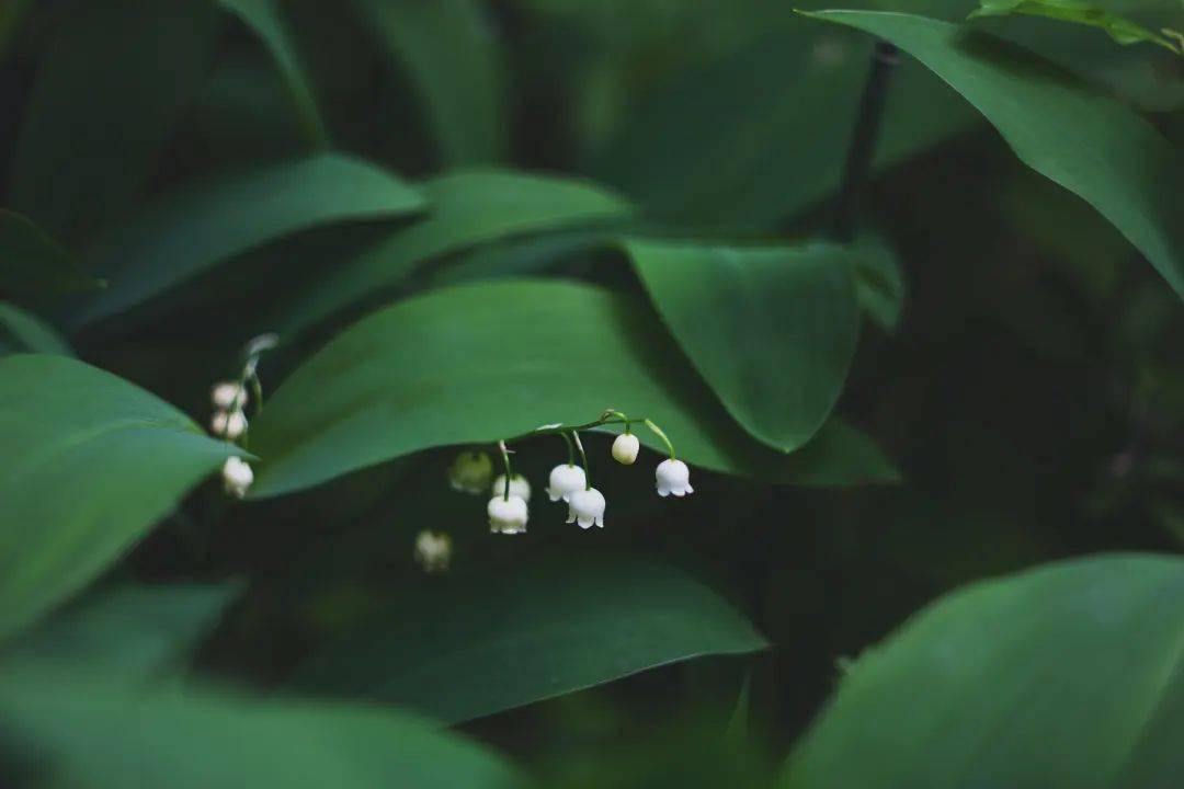 小苹果海军版舞蹈
:北京丨一周文艺资讯04.10-04.16-第1张图片-太平洋在线下载