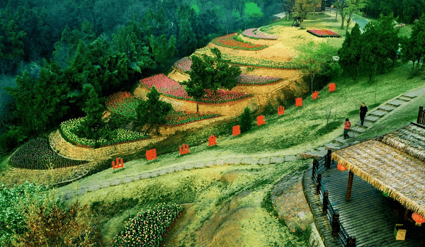 蓝莓手机:江苏新沂：“绿水青山”中破译“生态财富”密码-第1张图片-太平洋在线下载