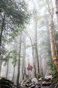 苹果经典版手机铃声